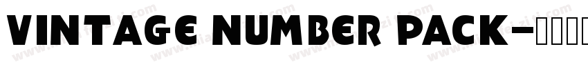 vintage number pack字体转换